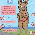 rabbit sluts on okunoshima-gr