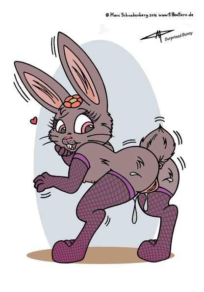 surprised_bunny-gr.jpg