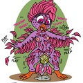 birdgirl tf-gr