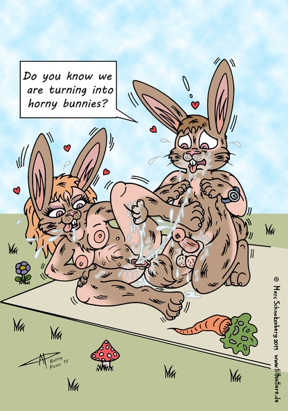bunny picnic tf-gr